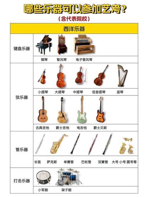 艺考才艺表演选什么乐器好?-第2张图片-泰美艺术培训 艺考才艺表演选什么乐器好?-第2张图片-泰美艺术培训