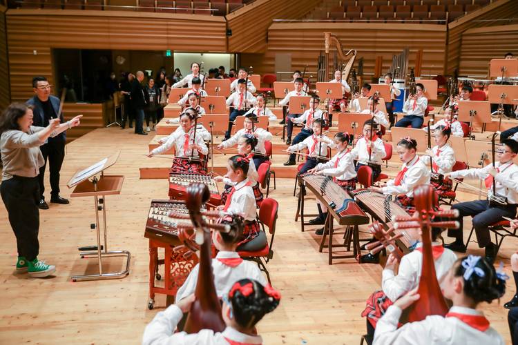 艺考才艺表演选什么乐器好?-第3张图片-泰美艺术培训 艺考才艺表演选什么乐器好?-第3张图片-泰美艺术培训