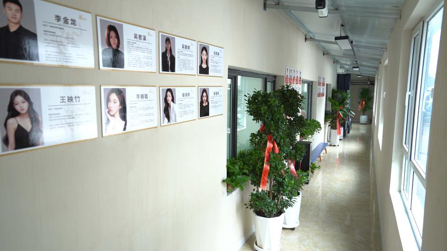 沈阳艺考培训哪家好?-第1张图片-泰美艺术培训