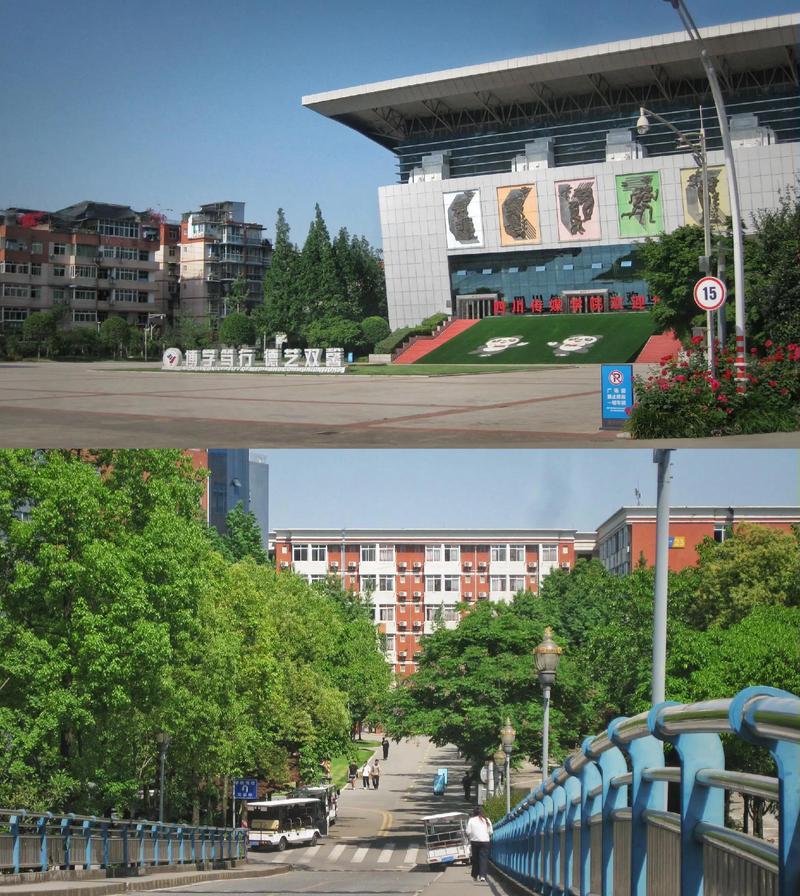 四川音乐学院传媒学院有何特色或优势?-第2张图片-泰美艺术培训 四川音乐学院传媒学院有何特色或优势?-第2张图片-泰美艺术培训