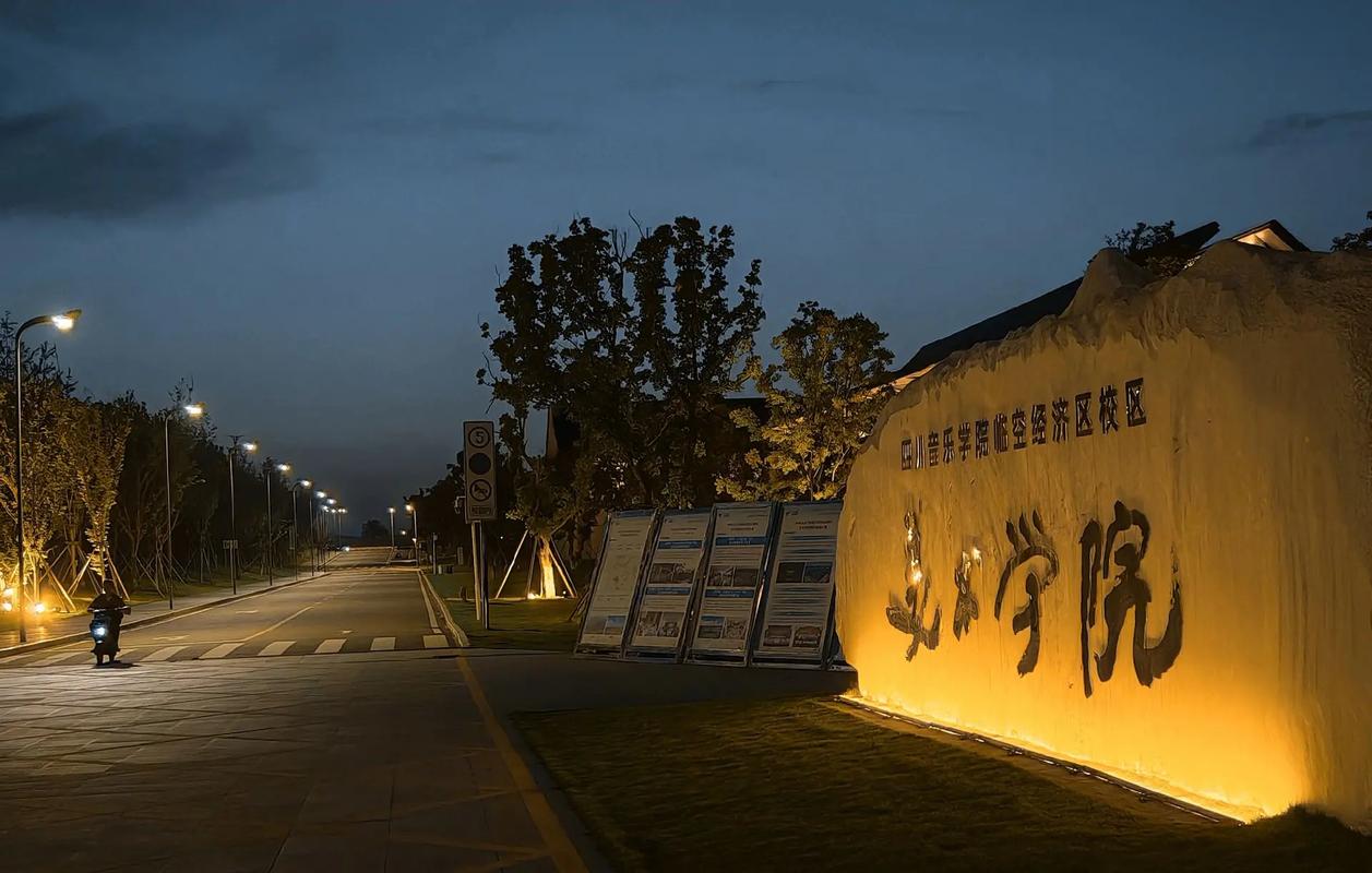 四川音乐学院有什么特色专业？-第1张图片-泰美艺术培训