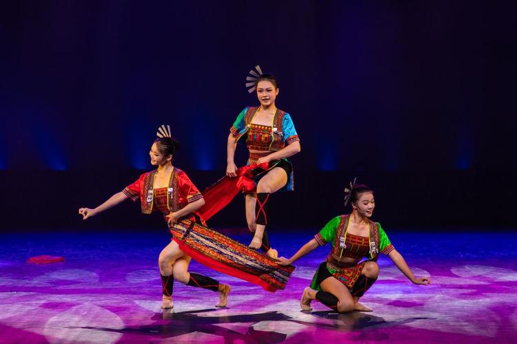 广西大专舞蹈学校有哪些？-第1张图片-泰美艺术培训