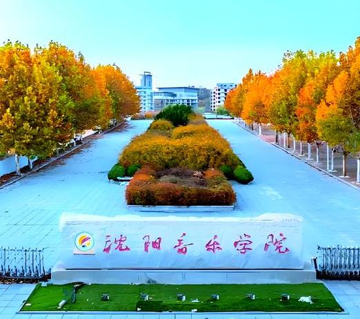 2025沈阳音乐学院招生政策有何变化?-第1张图片-泰美艺术培训 2025沈阳音乐学院招生政策有何变化?-第1张图片-泰美艺术培训