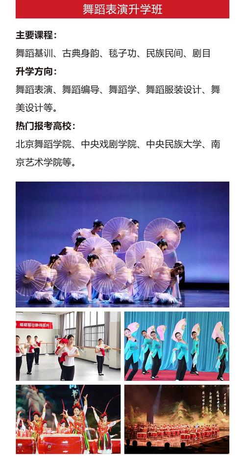 河南中专舞蹈学校有哪些？-第3张图片-泰美艺术培训