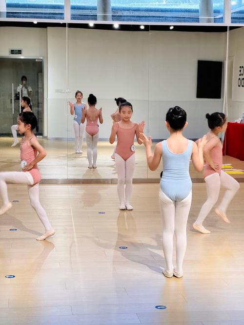 2025级北舞招生有何新变化？-第2张图片-泰美艺术培训