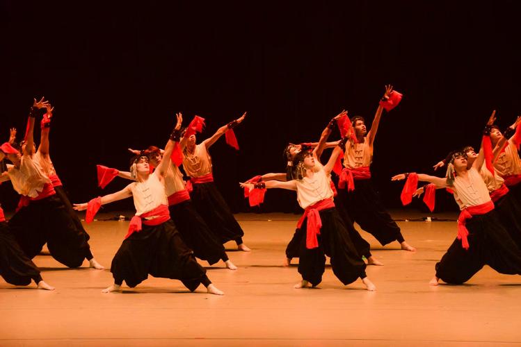 湖南舞蹈院校有哪些？-第1张图片-泰美艺术培训