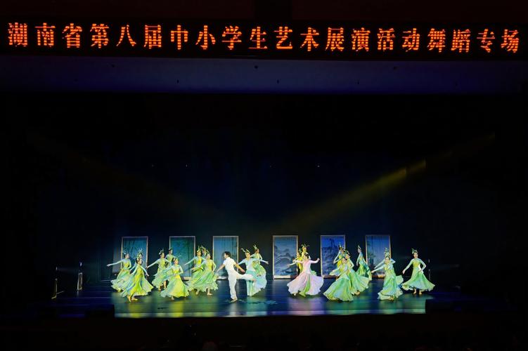 湖南舞蹈院校有哪些？-第2张图片-泰美艺术培训