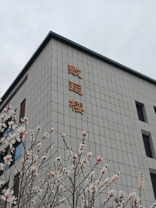 聊城大学东昌学院音乐系有何特色？-第2张图片-泰美艺术培训