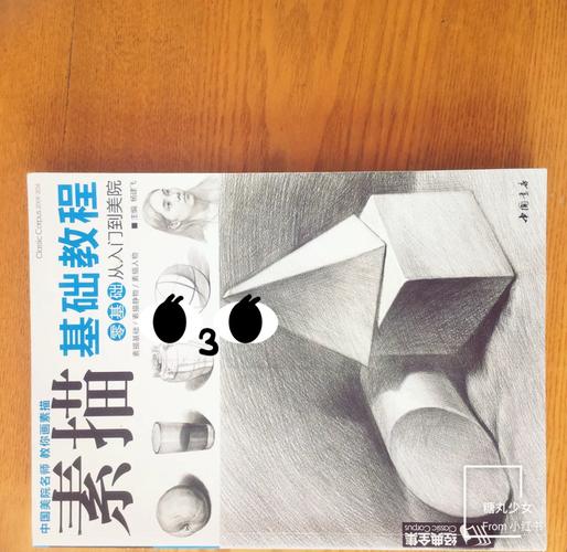 高考美术教材怎么选？-第1张图片-泰美艺术培训