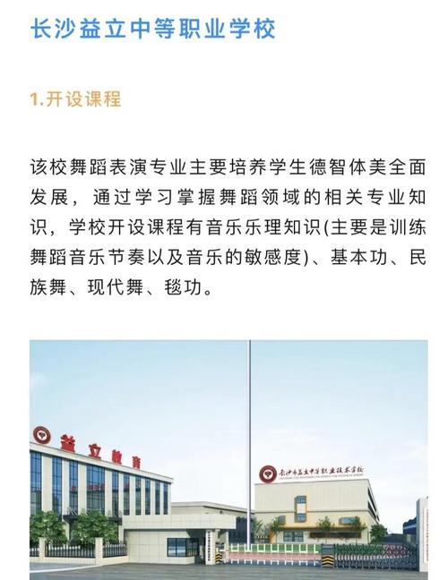 湖南师范音乐表演专业如何？-第2张图片-泰美艺术培训