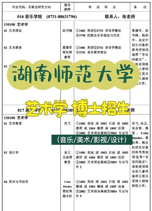 湖南师范音乐招生要求有哪些具体条件？-第2张图片-泰美艺术培训