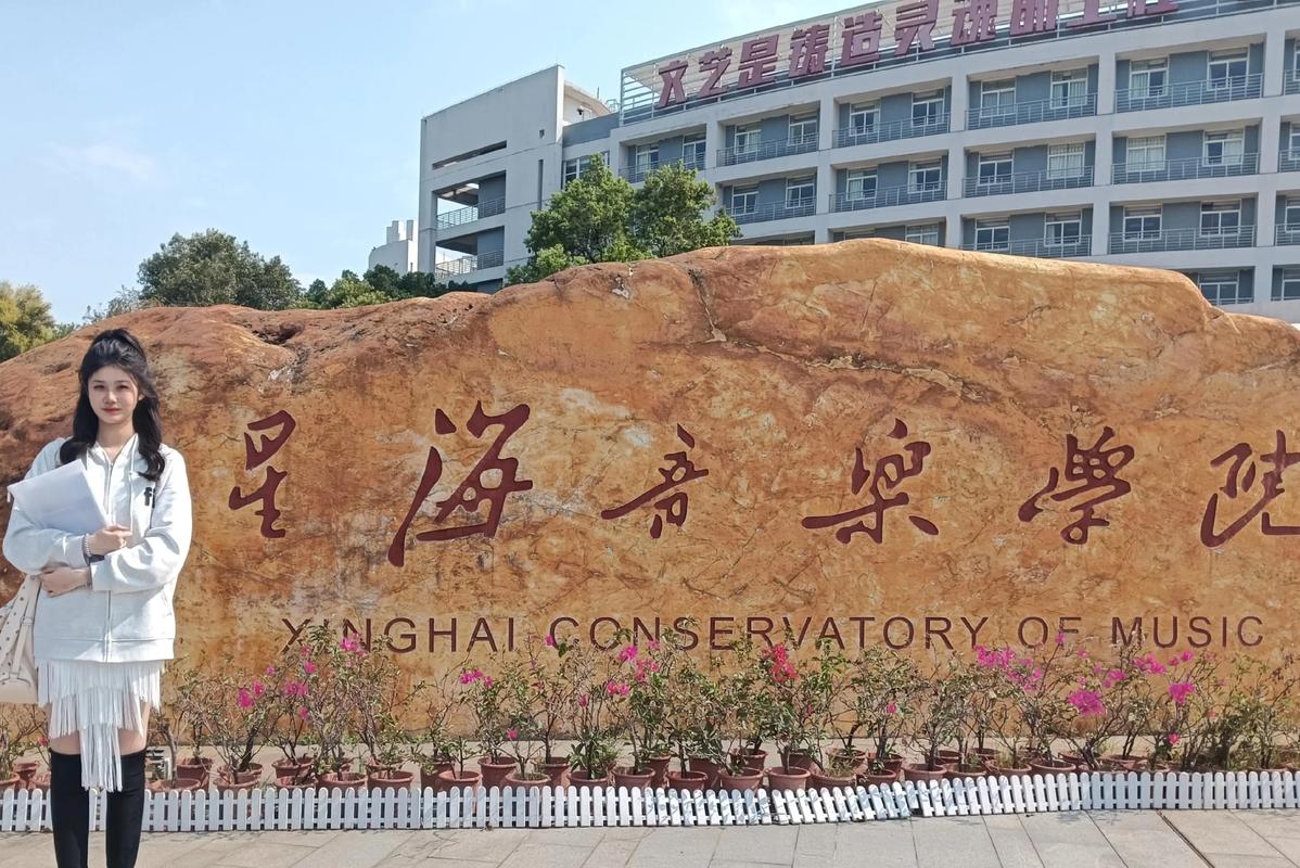 哪些学校承认海南音乐统考成绩？-第1张图片-泰美艺术培训
