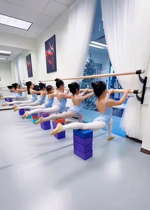 湖南艺考舞蹈培训学校怎么选？-第3张图片-泰美艺术培训