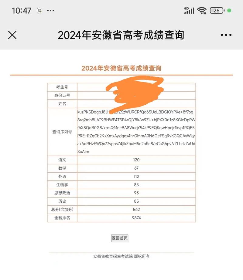 安徽艺考成绩查询网址是什么?-第1张图片-泰美艺术培训 安徽艺考成绩查询网址是什么?-第1张图片-泰美艺术培训