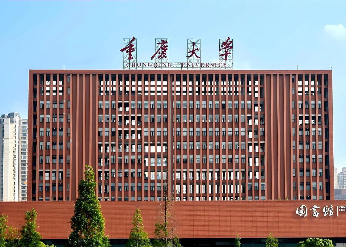 哪些大学承认重庆艺术联考成绩？-第3张图片-泰美艺术培训