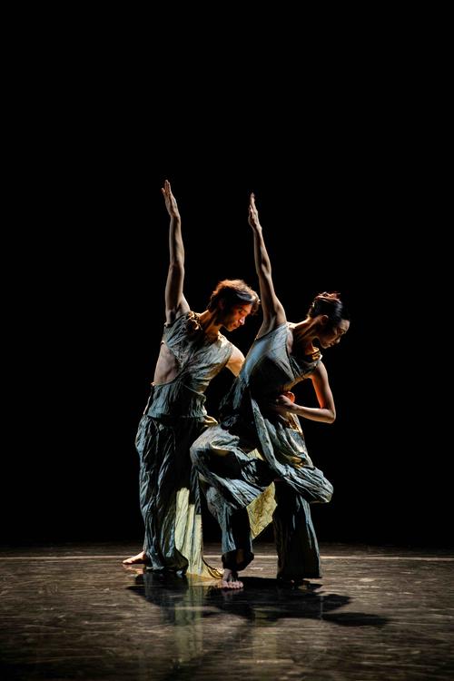 广州2025年2月舞蹈-第1张图片-泰美艺术培训 广州2025年2月舞蹈-第1张图片-泰美艺术培训