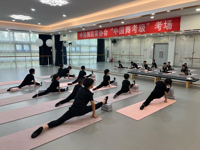 临沂大学体育舞蹈学什么？-第2张图片-泰美艺术培训