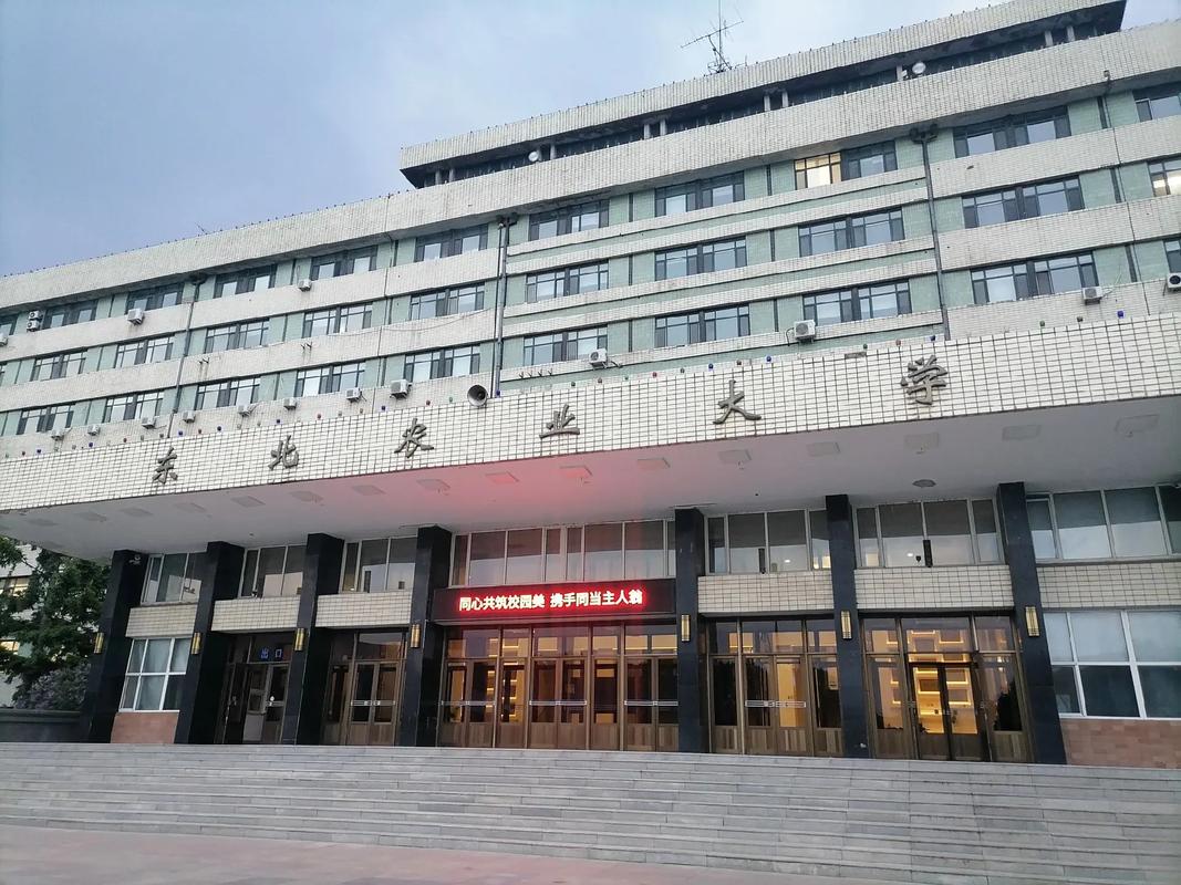 东北农大2025美术招生有何新变化?-第2张图片-泰美艺术培训 东北农大2025美术招生有何新变化?-第2张图片-泰美艺术培训