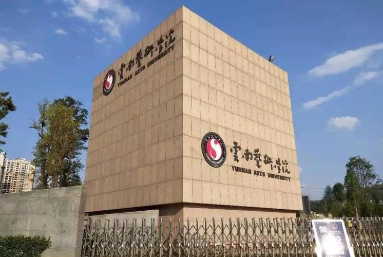云南舞蹈统考哪些高校承认？-第1张图片-泰美艺术培训