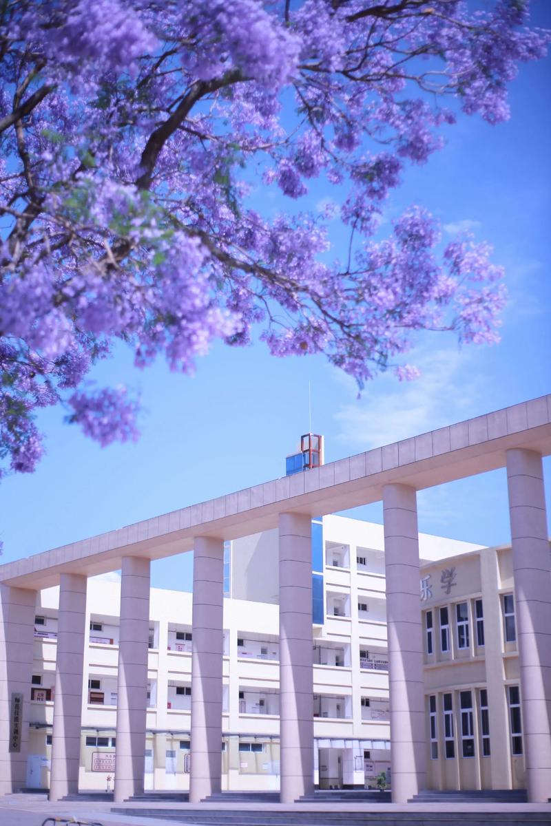 西昌学院2025美术招生有何新变化？-第1张图片-泰美艺术培训