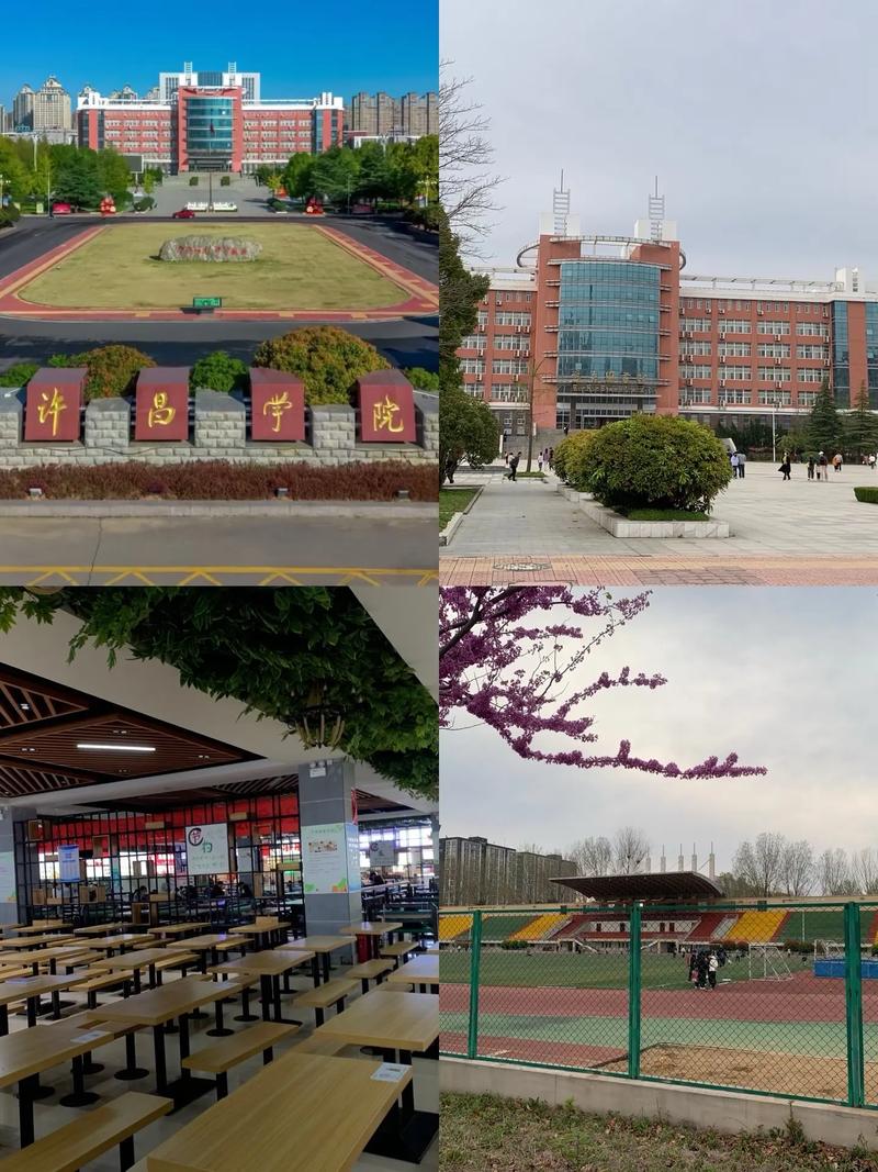 许昌学院2025美术-第2张图片-泰美艺术培训