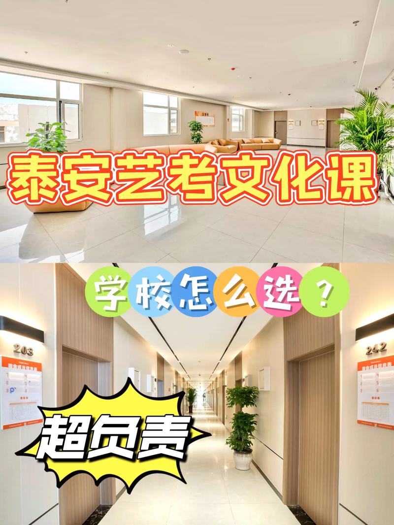 泰安艺考舞蹈培训收费-第3张图片-泰美艺术培训