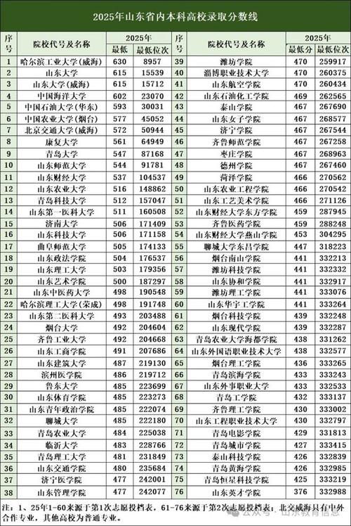 2025山东联考本科线是多少？-第1张图片-泰美艺术培训