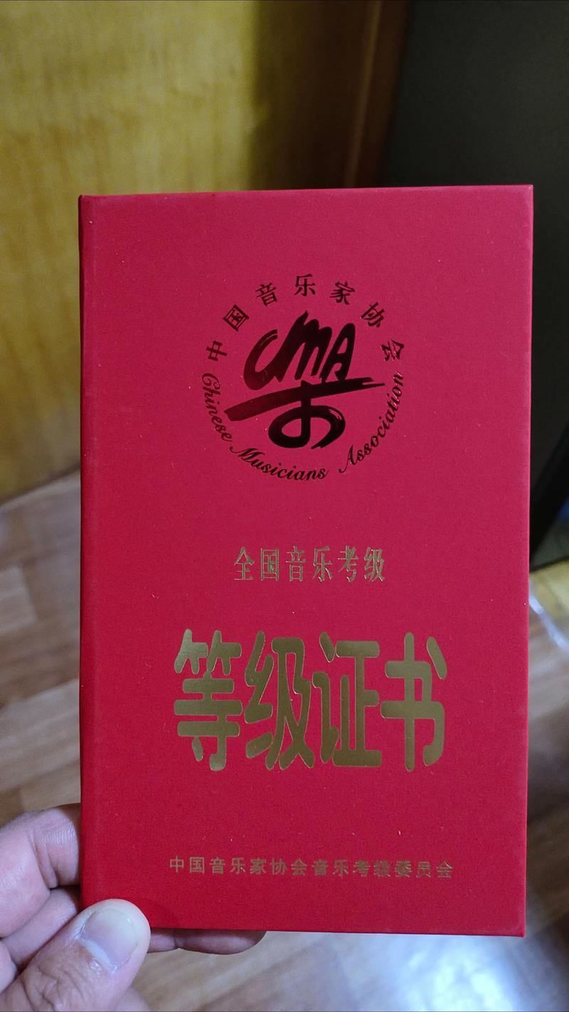 专业技能音乐综合证书有何用途？-第1张图片-泰美艺术培训