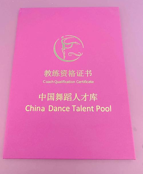 音乐综合证舞蹈考什么内容？-第1张图片-泰美艺术培训