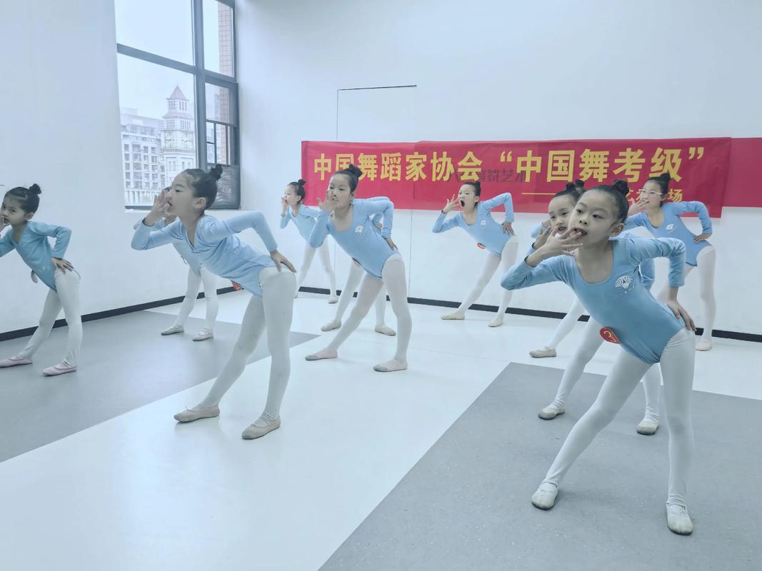 江苏高考舞蹈省考具体考哪些项目？-第2张图片-泰美艺术培训