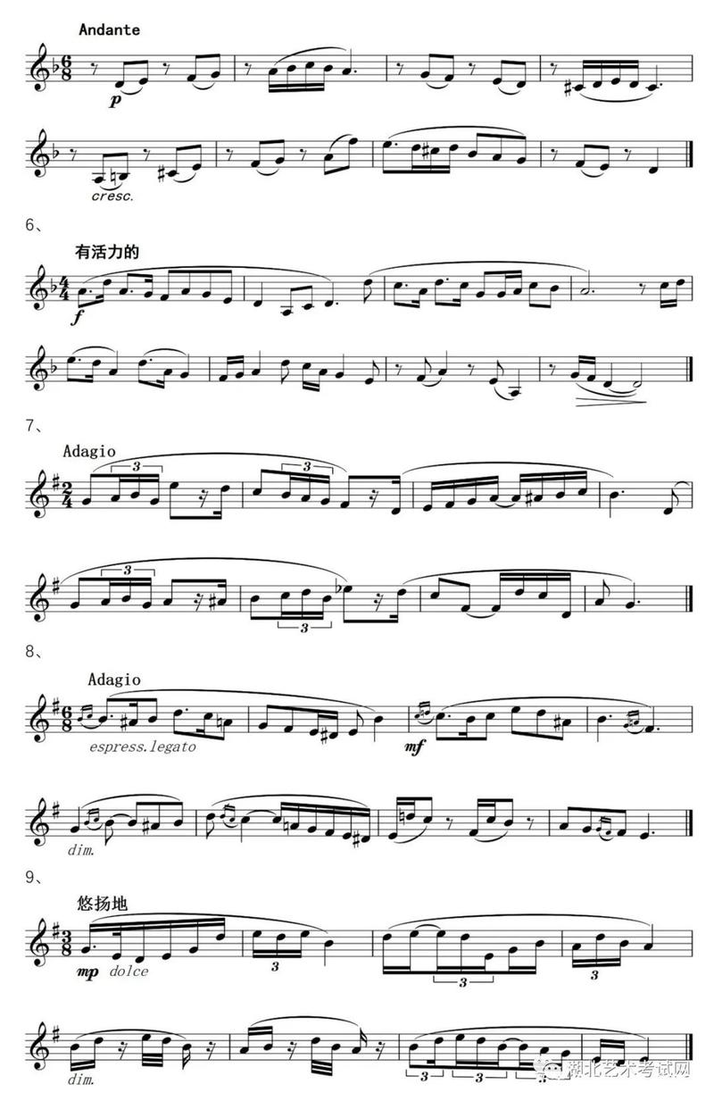 张望视唱教学有何独特之处？-第2张图片-泰美艺术培训