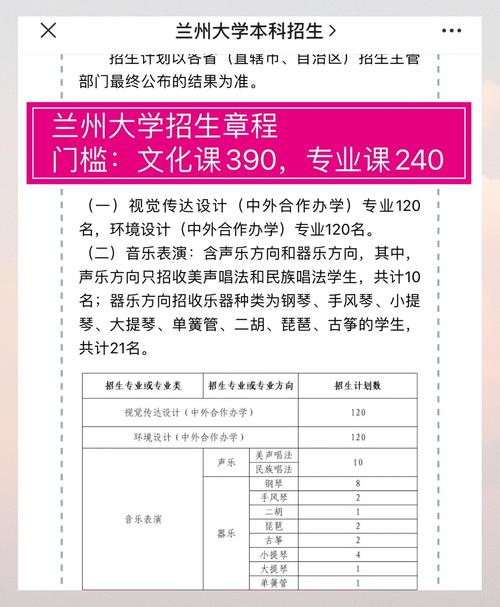 大学音乐表演专业，该学核心技能还是综合素养？-第2张图片-泰美艺术培训