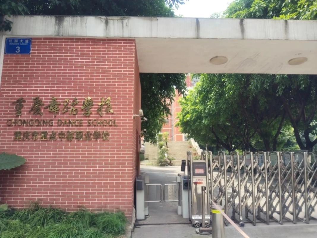 重庆舞蹈学校国标系好吗-第1张图片-泰美艺术培训