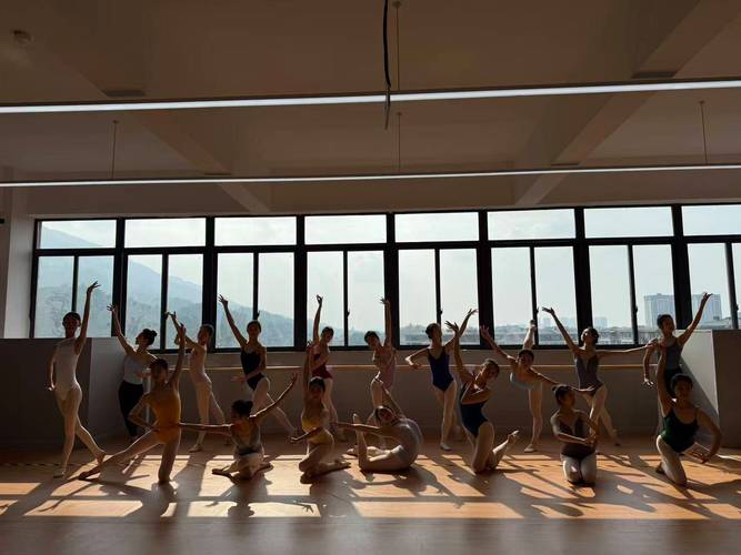 重庆舞蹈学校国标系好吗-第3张图片-泰美艺术培训