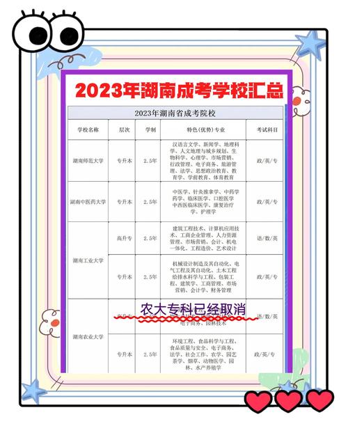 湖南涉外艺考成绩何时可查？-第3张图片-泰美艺术培训