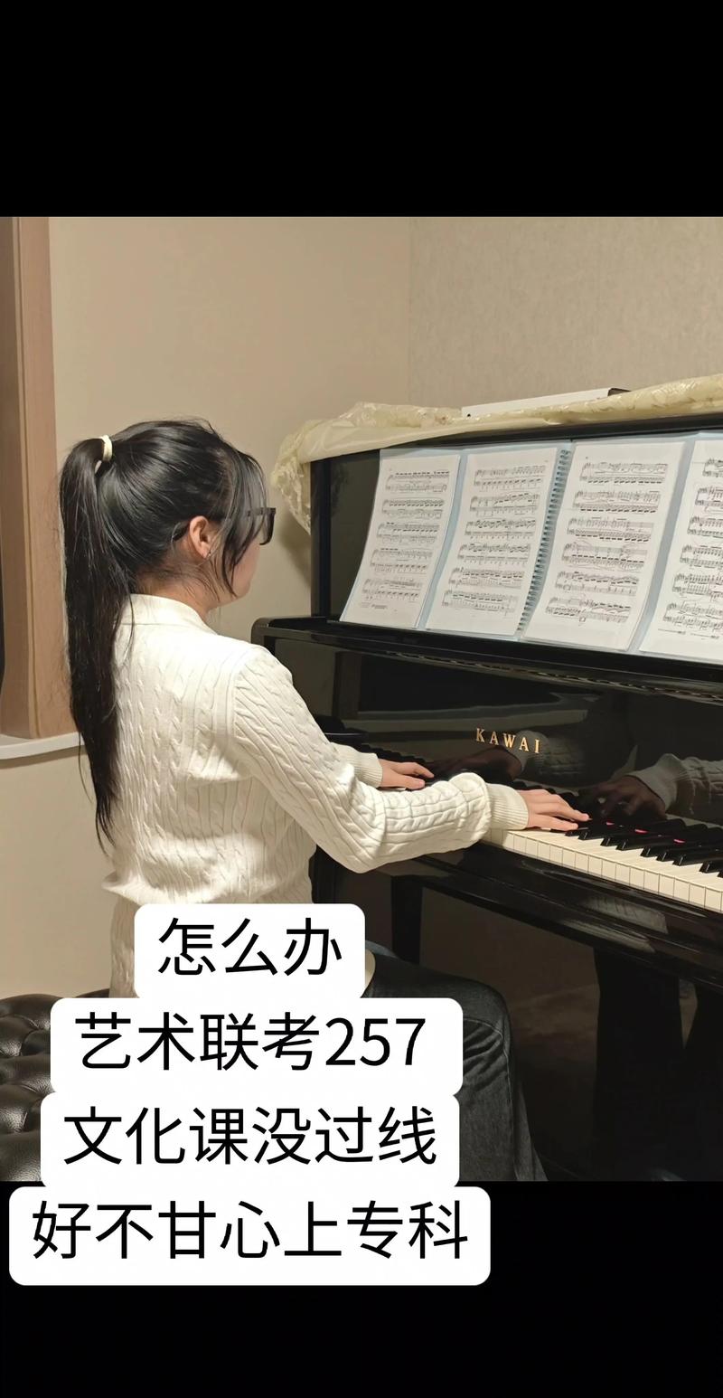 钢琴艺考评分标准究竟是什么？-第3张图片-泰美艺术培训