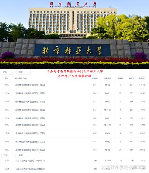 北京林业美术2025将呈现哪些新亮点？-第3张图片-泰美艺术培训
