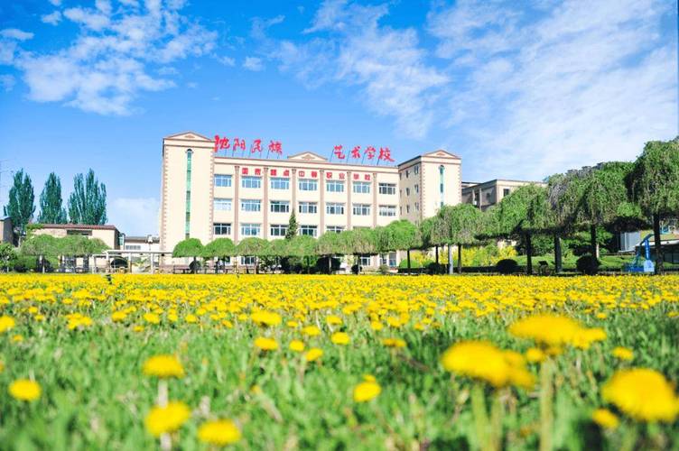 辽宁有哪些舞蹈学校值得推荐？-第2张图片-泰美艺术培训