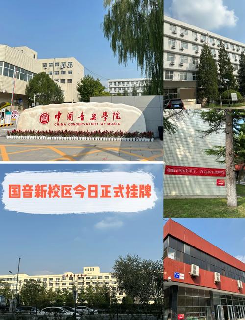 北京音乐学院报名入口在哪？-第1张图片-泰美艺术培训