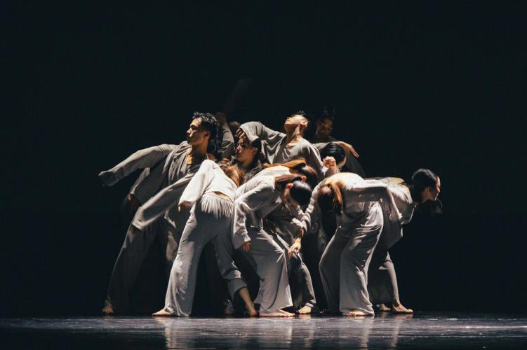 贵州大学舞蹈系就业前景如何？-第1张图片-泰美艺术培训