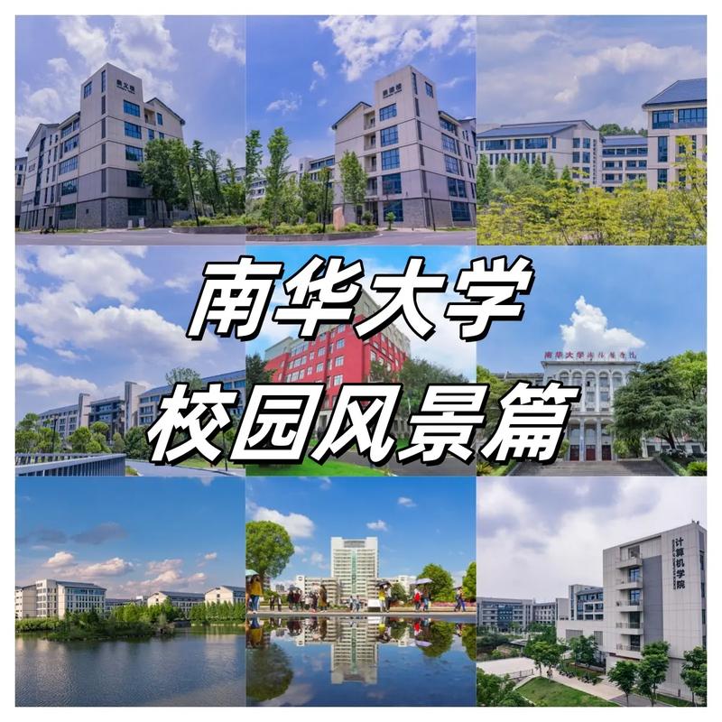 南华大学有音乐专业吗？-第3张图片-泰美艺术培训