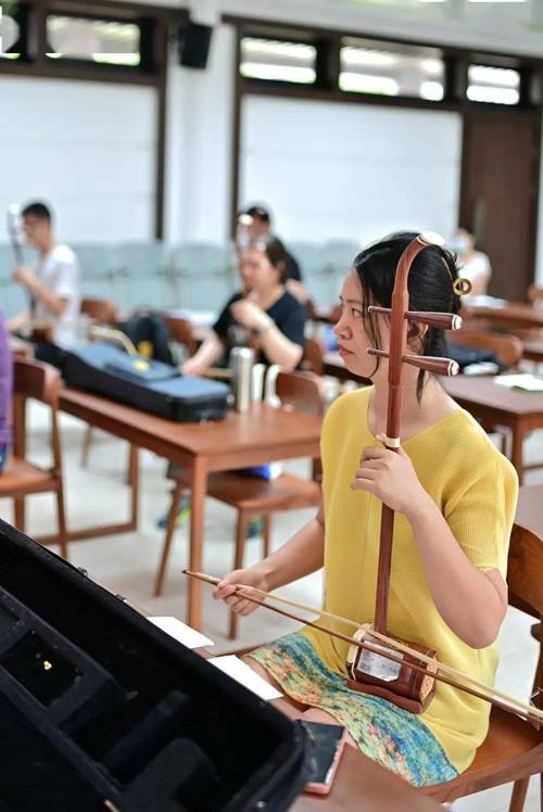 西安音乐学院板胡培训怎么报名？-第2张图片-泰美艺术培训