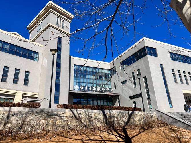 大连大学2025美术招生何时开始？-第1张图片-泰美艺术培训