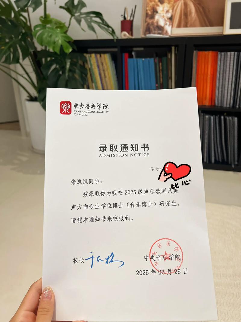 武汉音乐学院志愿录取结果何时公布？-第2张图片-泰美艺术培训