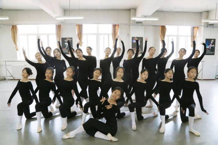 陕西哪些学校招舞蹈专业？-第1张图片-泰美艺术培训