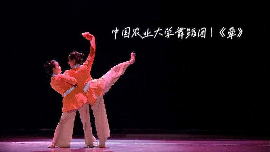 湖南省联考2025舞蹈考什么内容？-第3张图片-泰美艺术培训